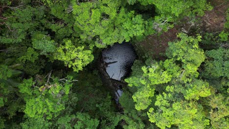 Descendiendo-Hasta-Un-Sumidero-Natural-Oculto-A-La-Vista-Por-Un-Denso-Dosel-De-Selva-Tropical