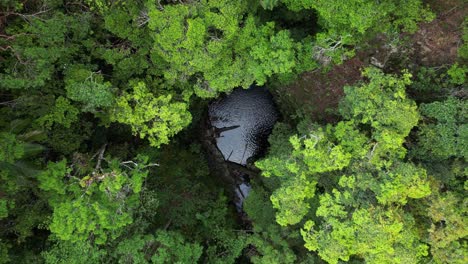descendiendo a un sumidero natural oculto de la vista por un denso dosel de la selva tropical