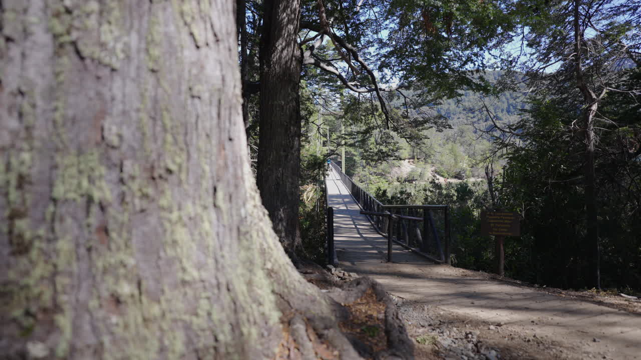 Suspension bridge over the river Arrayanes in a national park, Parque Nacional Los Alerces, Argentina.
