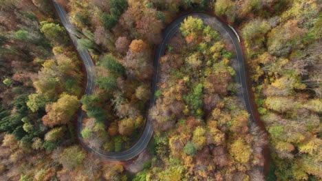 Vista-Aérea-De-Un-Camino-Sinuoso-En-La-Hermosa-Temporada-De-Otoño,-Acercamiento-Dinámico-Suave