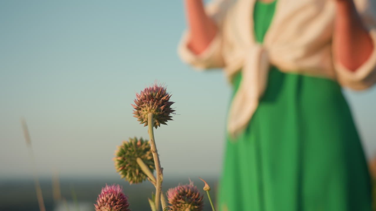 Close up of spiky wildflowers on sunlit hill with blurred woman in green dress and white shirt gently blowing soap bubbles that drop over scenic valley water under pastel sky at golden hour