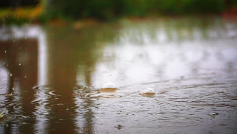 Rain-droplets-falling-a-splashing-in-a-puddle-with-some-forming-bubbles---slow-motion