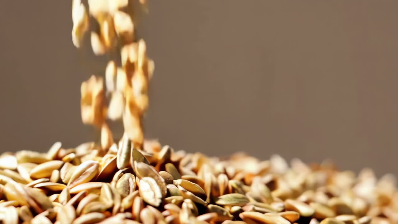 씨을 부어 넣는 것