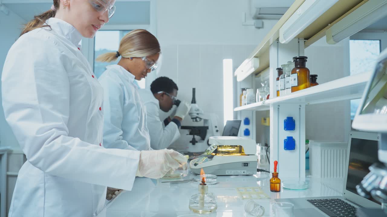 Scientists Performing Experiments in a Laboratory