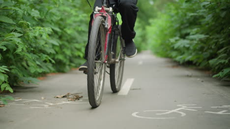 vista frontal inferior de un niño en pantalones negros montando una bicicleta tranquilamente a lo largo de un camino pavimentado marcado con líneas blancas, rodeado de una vibrante vegetación exuberante a ambos lados