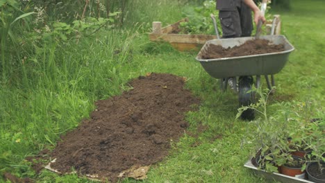 Tomatenpflanzen-In-Gartenerde-Verpflanzen,-Halbtotale