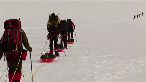 escaladores con raquetas de nieve y trineos dirigidos hacia arriba