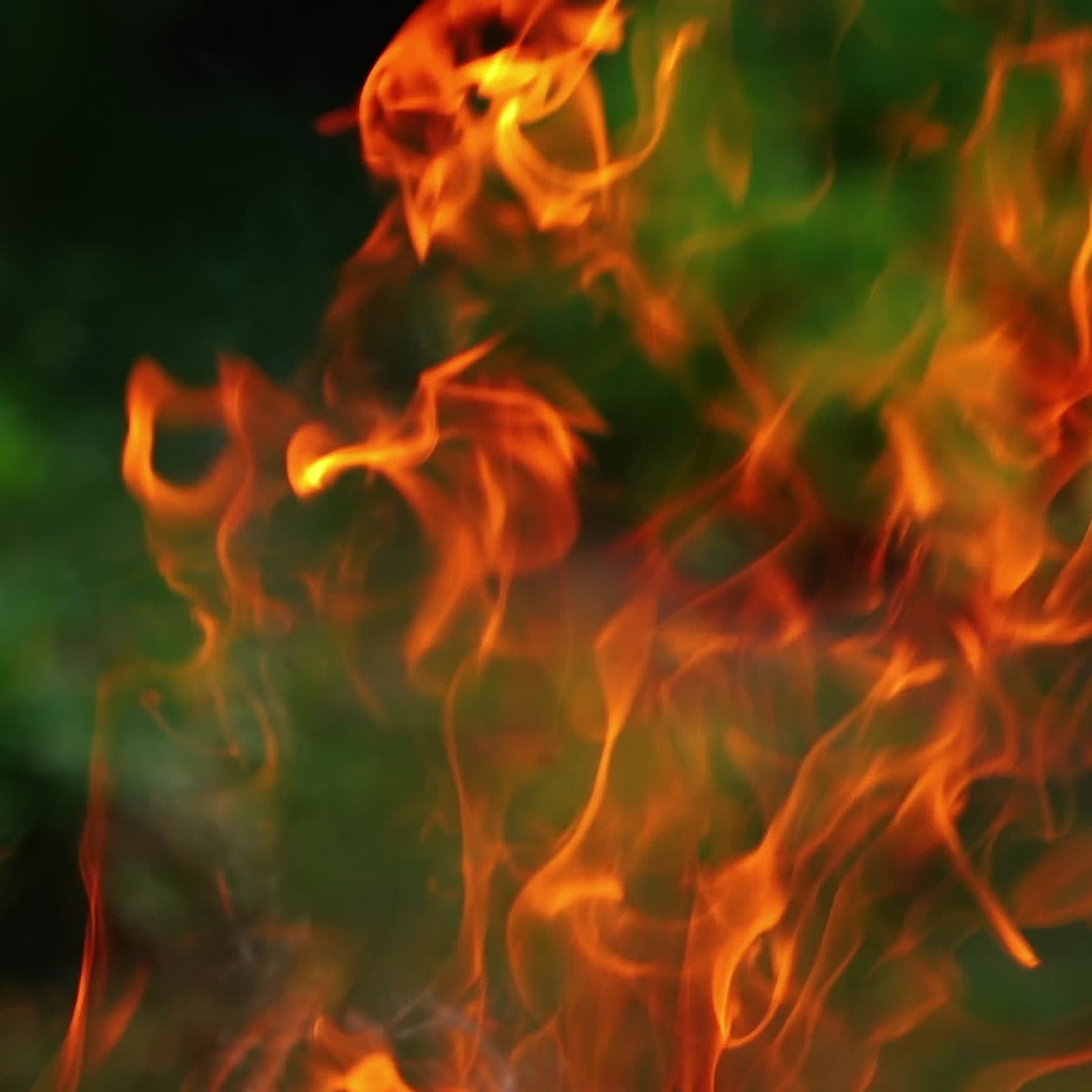 Fire background. Large vivid flame from bonfire glowing on blur nature background. Orange fire flame and smoke. Close-up. Slow motion.