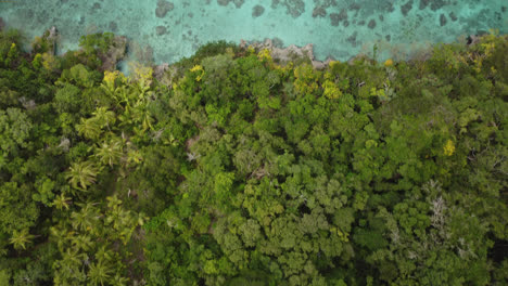 beautiful new caledonia tropical island coastline, lifou island, aerial top down