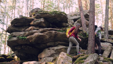 hikers climbing rocks in a forest