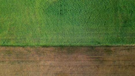 Slowly descending aerial shot above two different crop fields in the rural midwest of the USA