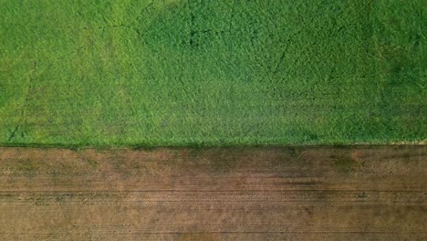 slowly descending aerial shot above two different crop fields in the rural midwest of the usa