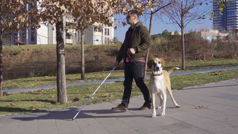 Blinder-Mann-Geht-Mit-Seinem-Hund-Im-Park-Spazieren.