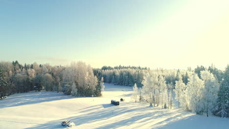 Aerial-backward-ascending-over-coniferous-snowy-forest-in