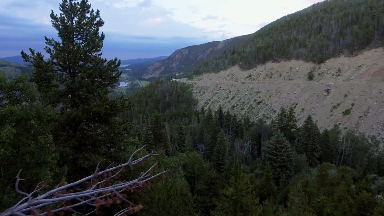 vista aérea dando vueltas a los árboles en colorado, vista aérea del bosque de colorado durante el verano, volando a través de árboles muertos para abrir el valle del bosque floreciente