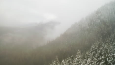 fog clouds blanketing snowy forest trees on mountains in olympic peninsula, washington