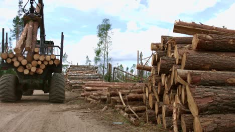 Schwerlastkran-Lädt-Geschnittene-Holzstämme.-Verladung-Von-Holz.-Lader-Im-Einsatz