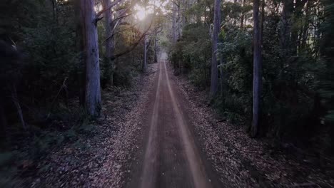 Toma-De-Drone-De-Un-Camino-Salvaje-A-Través-De-Un-Bosque-De-Stormlea,-Tasmania-En-Australia.