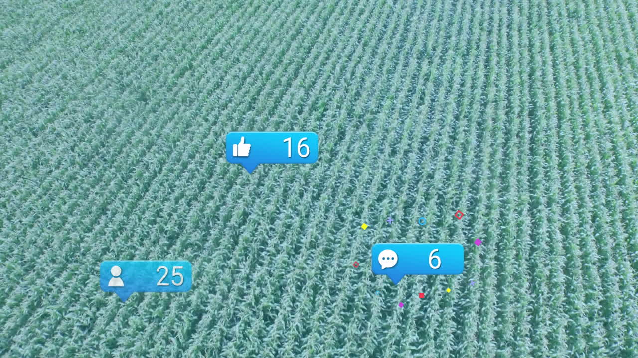 3D-rendered cornfield extending in neat rows, floating blue social like, comment, user icons