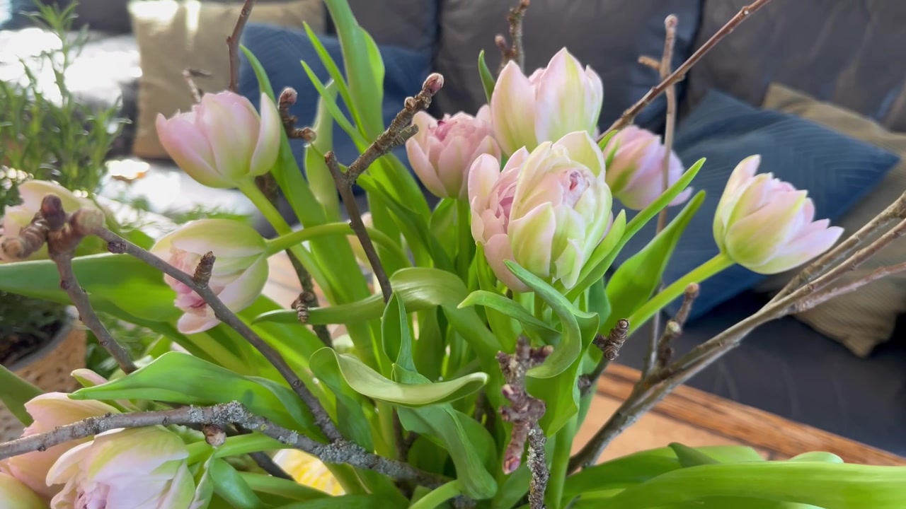 Roterende nærbillede af lyserøde tulipaner og dekorative grene i en hjemmebuket, der fanger frisk forårsstyling og blød pastelfarvet blomsterdekoration indendørs