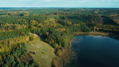 drones aéreos disparados sobre el lago y el bosque en vibrantes colores de otoño - warmia i mazury en polonia