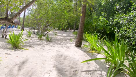 explorando una playa de arena junto a la jungla en el caribe
