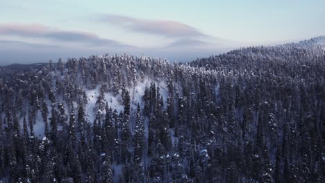 Beautiful-drone-shot-large-forest-and-mountains-with-snow-in-Lapland