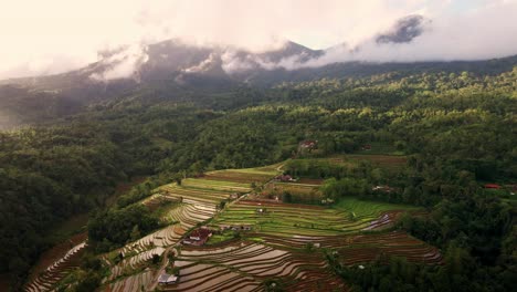 Impresionante-Paisaje-Natural-De-Las-Terrazas-De-Arroz-Jatiluwih-En-El-Oeste-De-Bali,-Indonesia