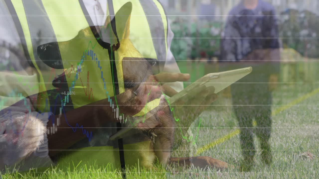 Adult man using tablet in grassy field, showing stock market charts over working dog