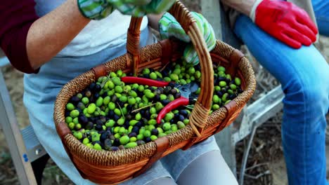 Couple examining olives in wicker basket