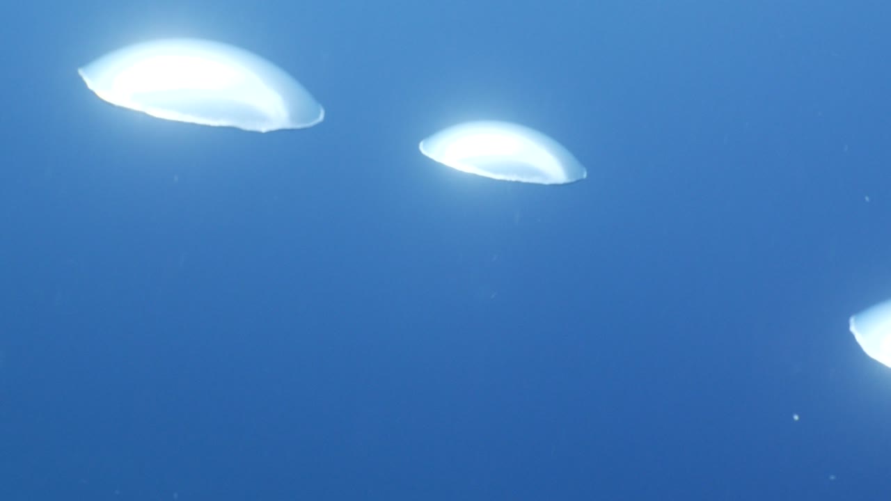 하늘과 표면에 가까운 수중 바다 풍경 태양 광선과 공기 거품 느리게 편안한 바다 배경