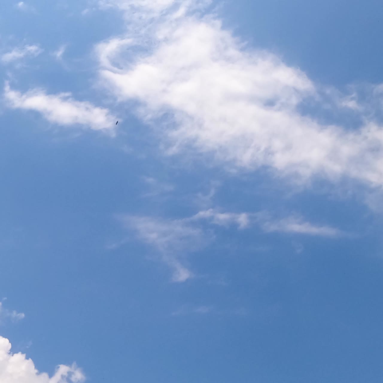 Blue summer sky with few light cirrus cloudscape floating by. Beautiful sunny day sky timelapse. Low angle view