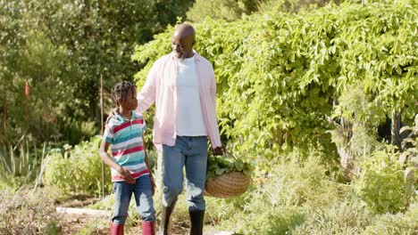 Glücklicher-älterer-Afroamerikanischer-Großvater-Und-Enkel-Unterhalten-Sich-Im-Sonnigen-Garten,-Zeitlupe