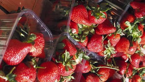 fresh strawberries in plastic containers