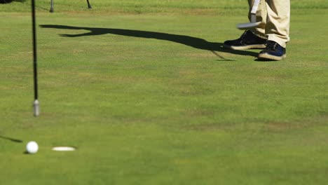 two golfer players playing golf together