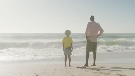 senior african american man with grandson standing on sunny beach