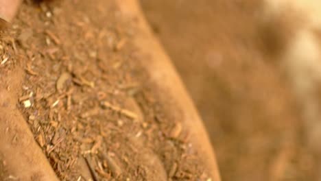 slow motion shot of hands processing madder powder from natural plant roots