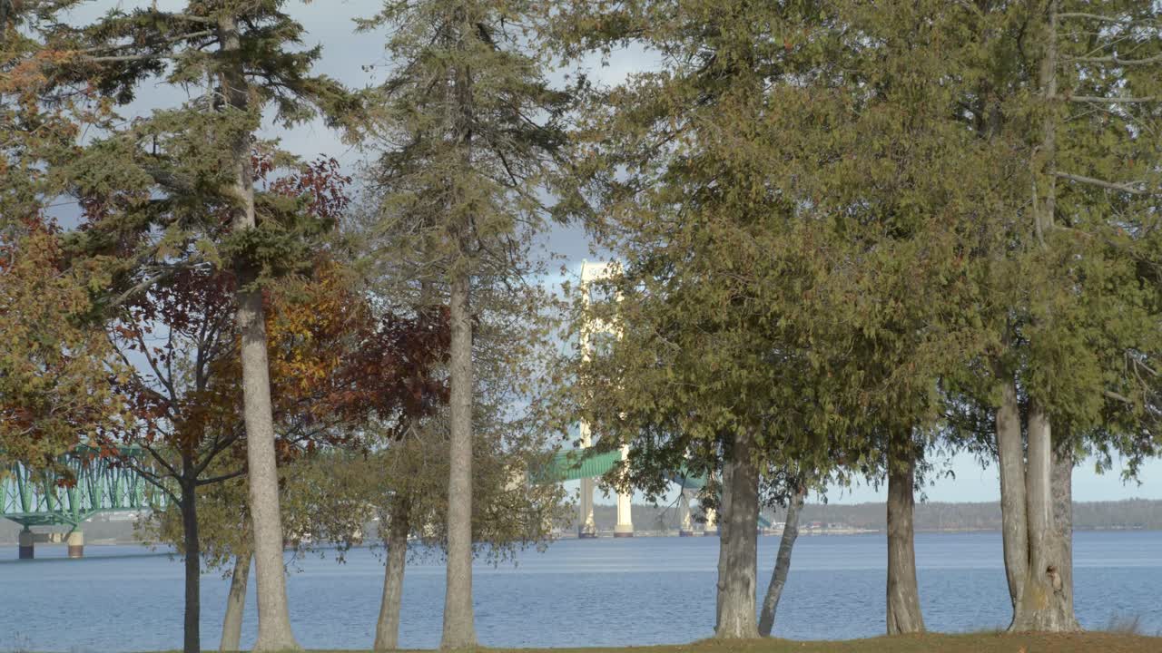 미시간 주 매키나우 시에 있는 매키나크 다리. 앞면에는 소나무가 있고, 왼쪽에서 오른쪽으로 돌리  ⁇ 이 있는 다리.