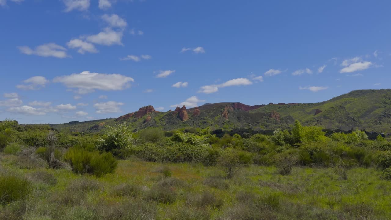 Beautiful View Of A Forest Next To A Small Hill With Green Vegetation