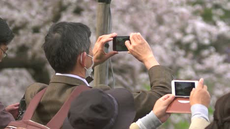 tourists taking photos on smartphones