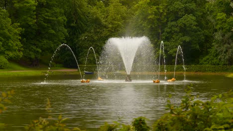 fountain in the pond. around the trees