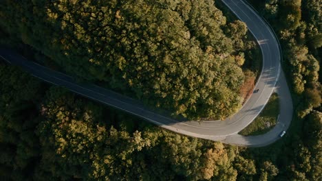 aerial view of a winding road through an autumn forest, motorcycle taking a sharp turn