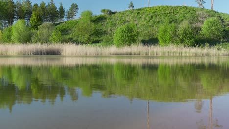 ripple curls of clear banks loire river france