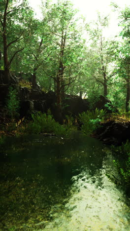 tranquil forest pond