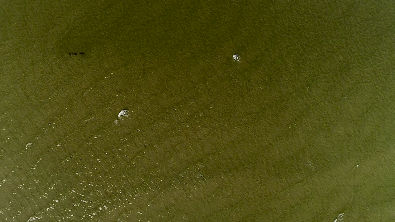 발트해 연안 조감도