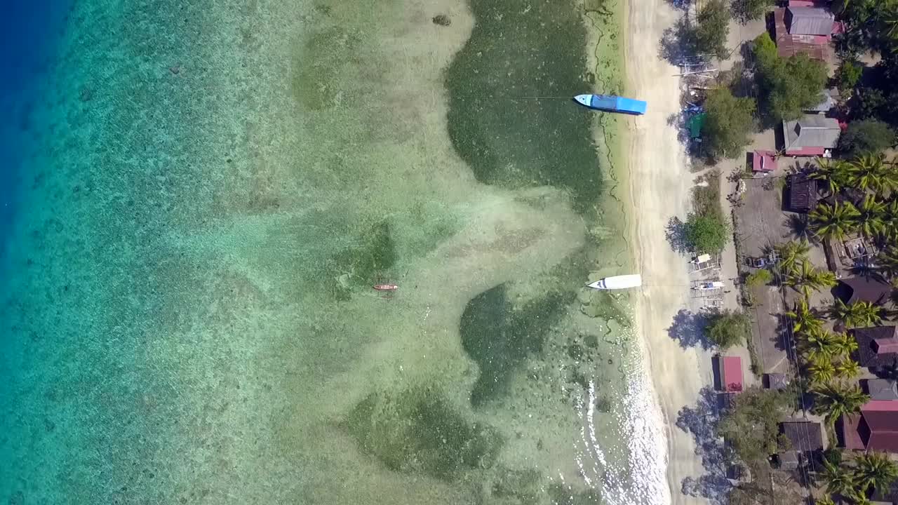 야자수, 해변 바로 옆에 있는 작은 오두막