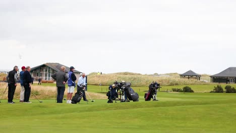 group of golfers enjoying a game together