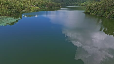 aerial shot of lilly pads on a lake panning up to reveal horizon with clouds reflecting on the water