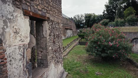 flourishing garden amidst pompeii's ruins