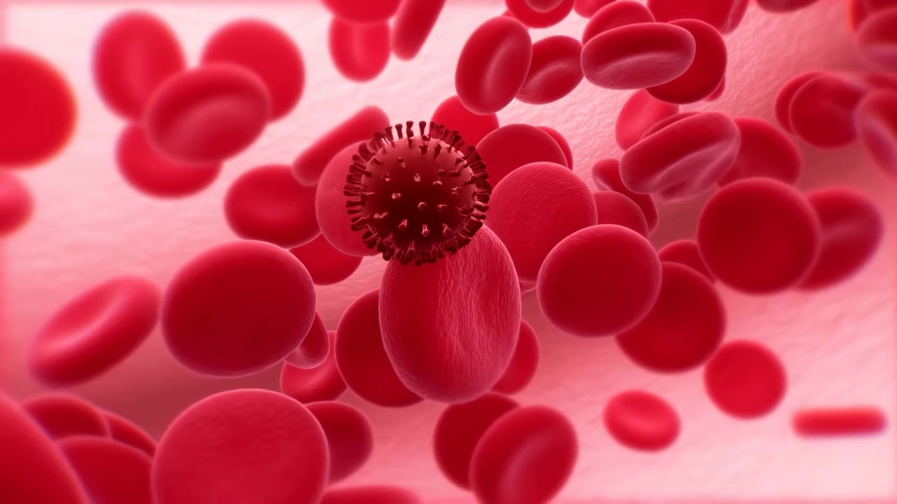 blood cells with a virus are seen floating and interacting within blood plasma in a microscopic environment of the bloodstream, providing a scientific and educational perspective on the red.